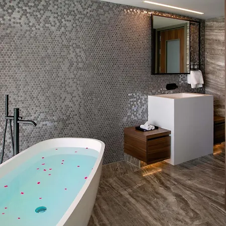Mercure 라르나카